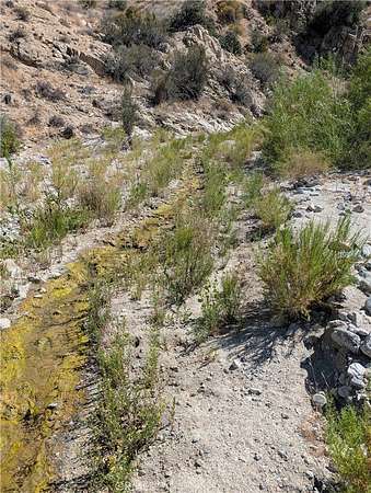 5 Acres of Residential Land for Sale in Morongo Valley, California