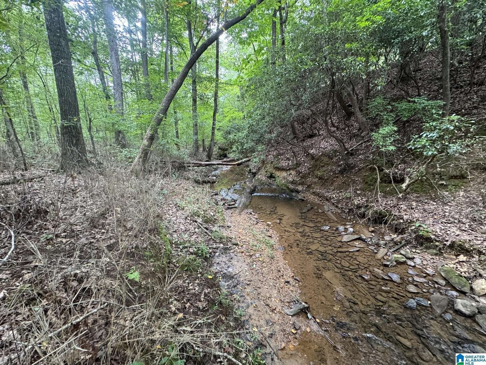 33 Acres of Recreational & Residential Land for Sale in Roanoke, Alabama