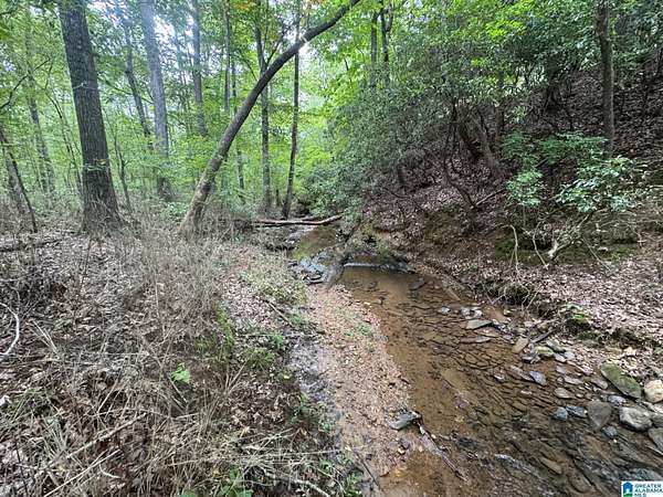 33 Acres of Recreational & Residential Land for Sale in Roanoke, Alabama