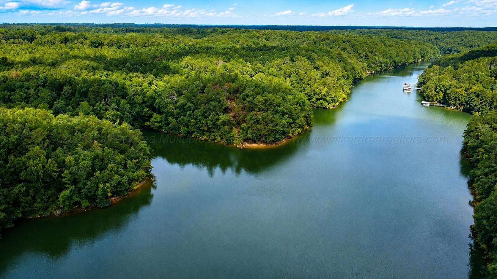 40 Acres of Land for Sale in Jasper, Alabama