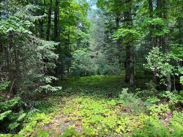 39 Acres of Land for Sale in Land O' Lakes, Wisconsin