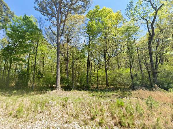 40 Acres of Recreational & Residential Land for Sale in Nashville, Arkansas