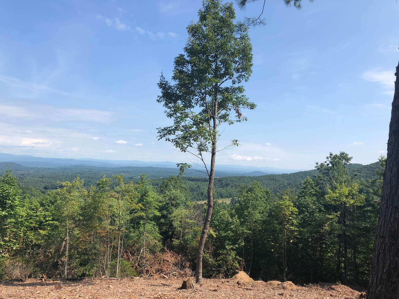 18.3 Acres of Recreational & Residential Land for Sale in Moravian Falls, North Carolina