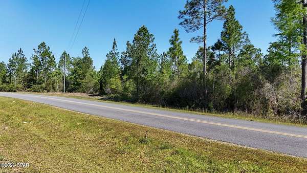 20 Acres of Recreational & Residential Land for Sale in Altha, Florida