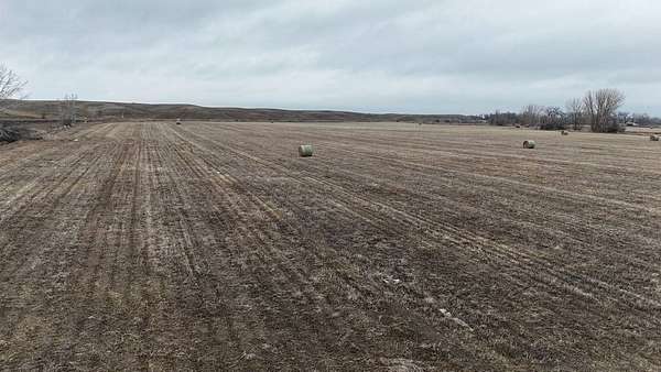 51.8 Acres of Agricultural Land for Sale in Savage, Montana