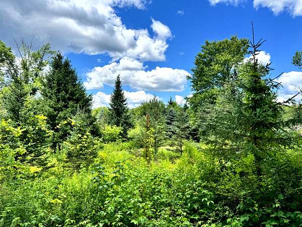 12 Acres of Recreational Land for Sale in Western Town, New York