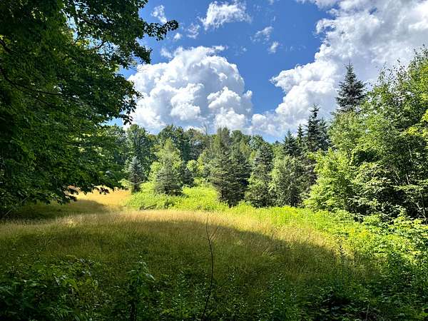 10 Acres of Recreational Land for Sale in Western Town, New York