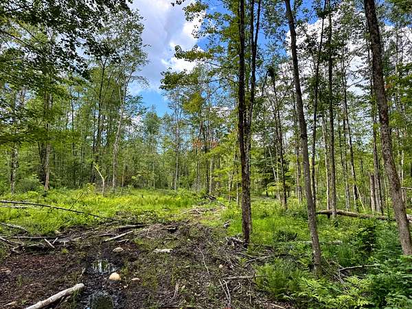 29.2 Acres of Recreational Land for Sale in Western Town, New York