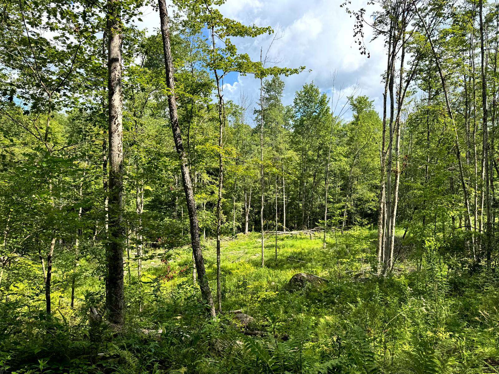 10 Acres of Recreational Land for Sale in Western Town, New York