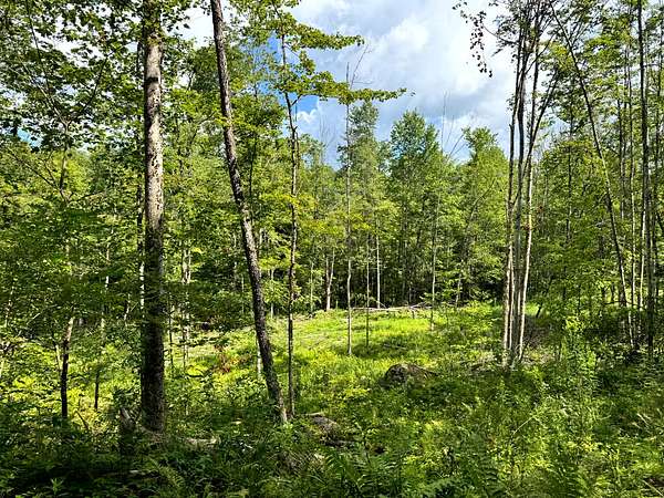10 Acres of Recreational Land for Sale in Western Town, New York