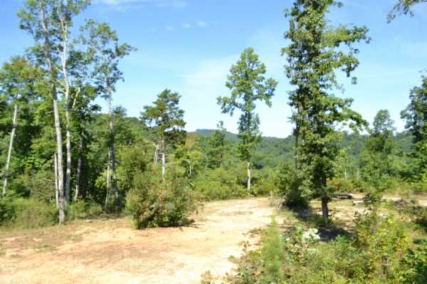 9.85 Acres of Land for Sale in Celina, Tennessee