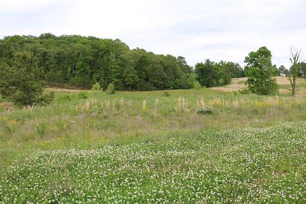 0.8 Acres of Residential Land for Sale in Loudon, Tennessee