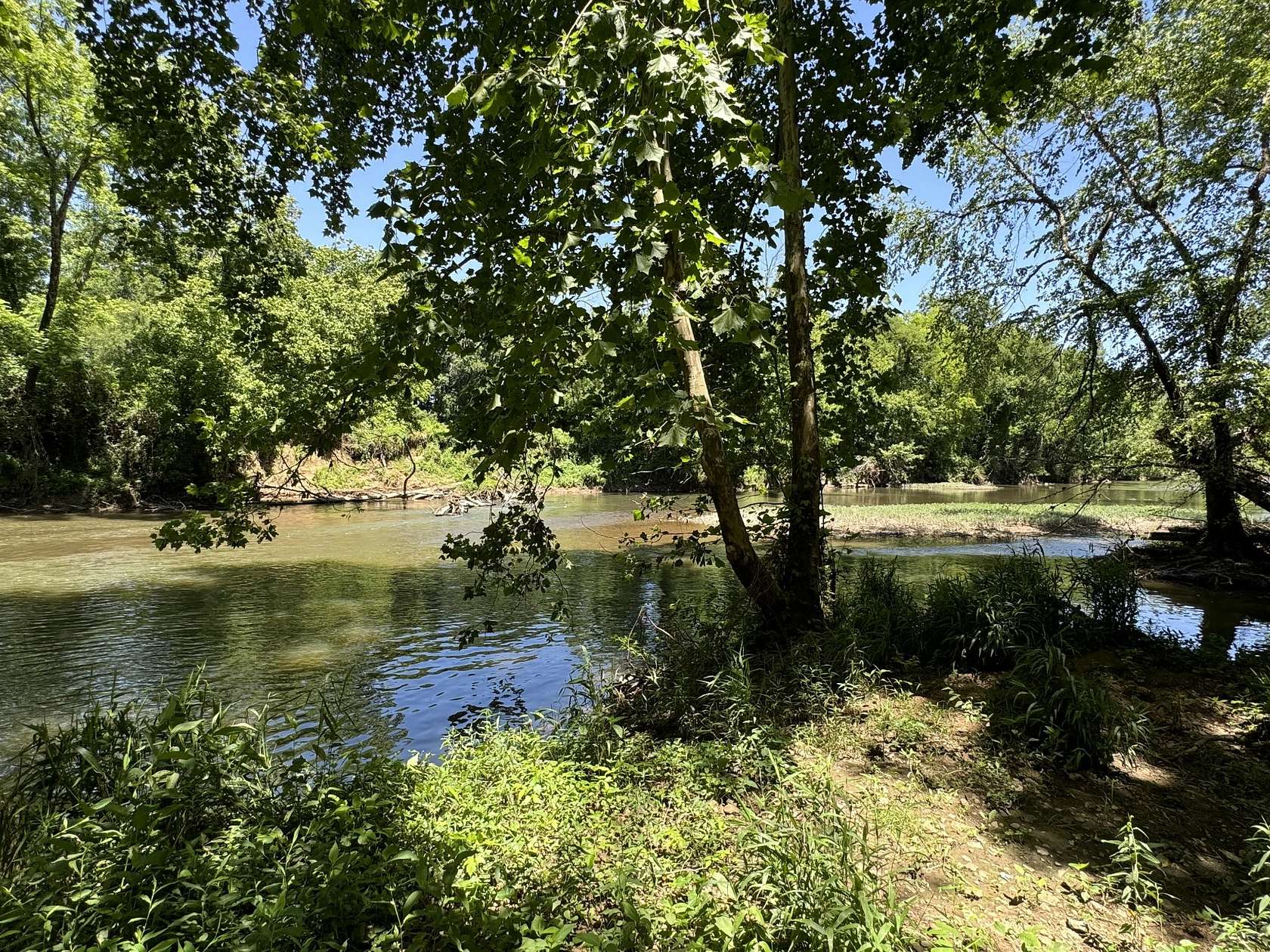 20 Acres of Land for Sale in Shelbyville, Tennessee