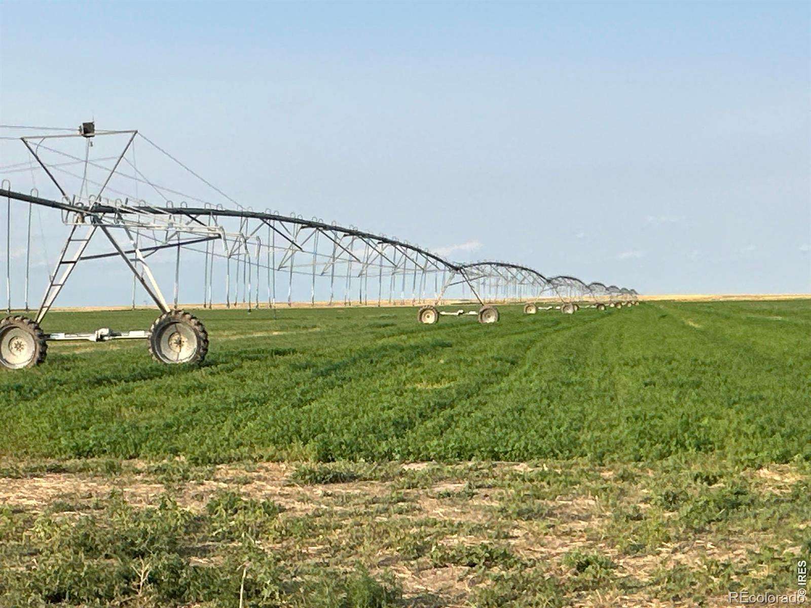 485 Acres of Agricultural Land for Sale in Seibert, Colorado
