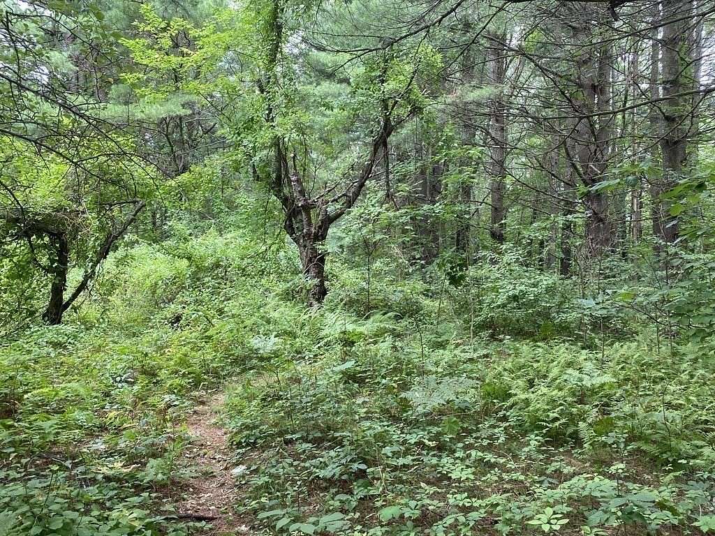 13.4 Acres of Commercial Land for Sale in Millbury, Massachusetts