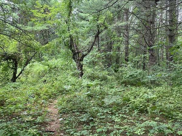 13.4 Acres of Commercial Land for Sale in Millbury, Massachusetts