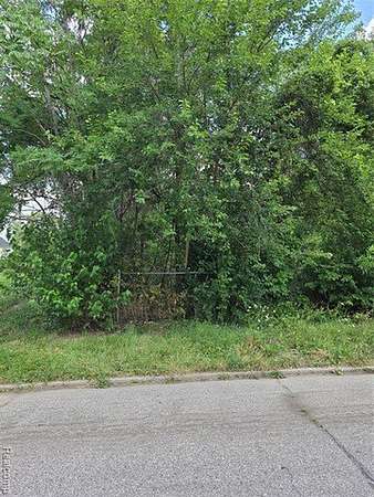 0.07 Acres of Residential Land for Sale in Detroit, Michigan