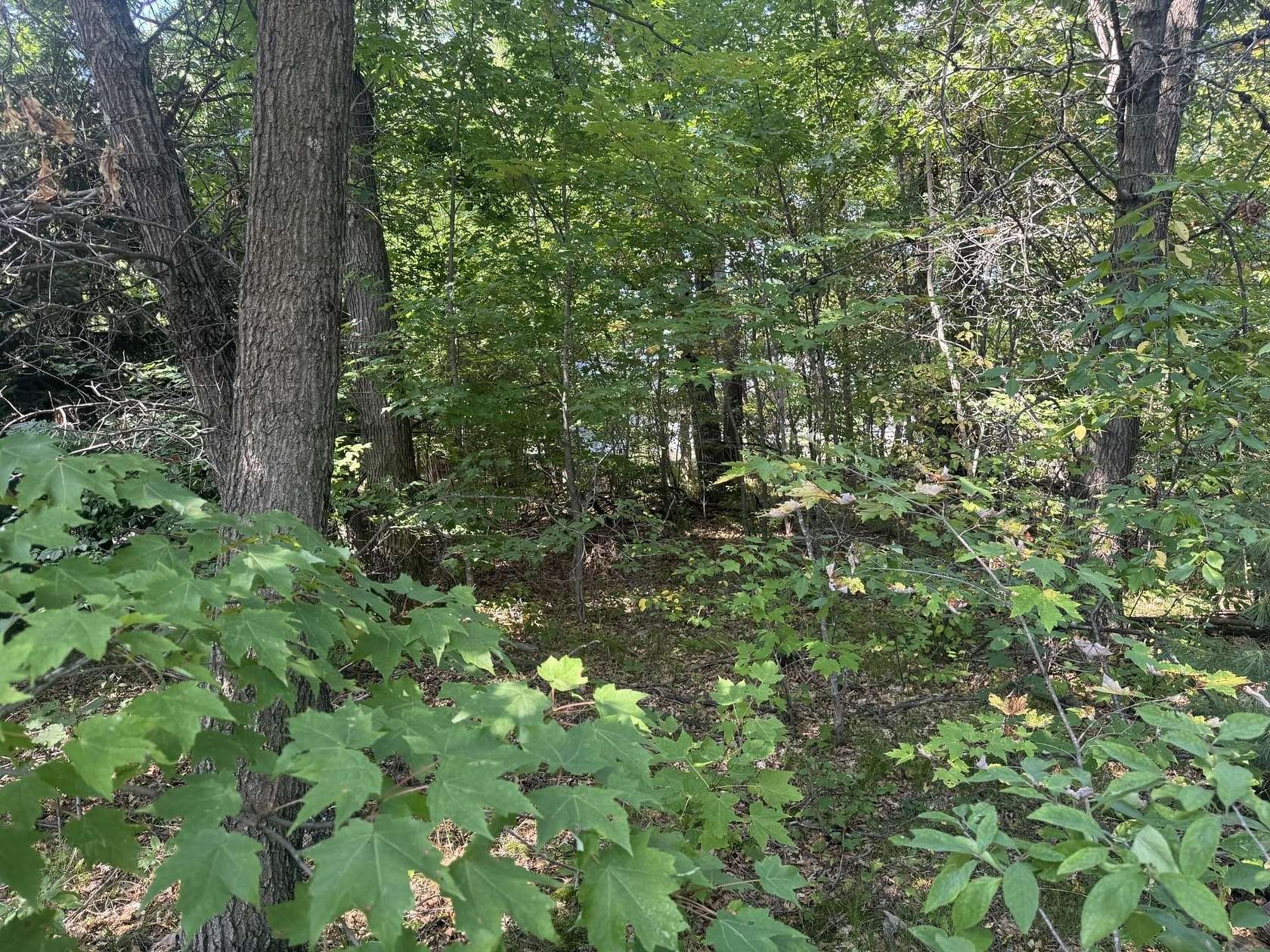 0.25 Acres of Residential Land for Sale in Wisconsin Dells, Wisconsin
