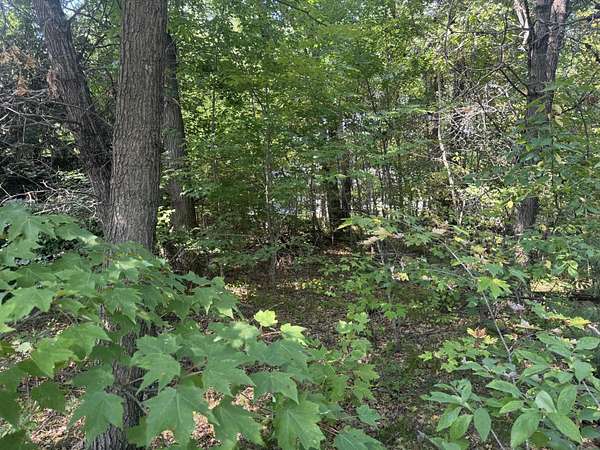 0.25 Acres of Residential Land for Sale in Wisconsin Dells, Wisconsin