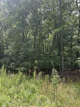 1.5 Acres of Residential Land for Sale in Morganton, Georgia