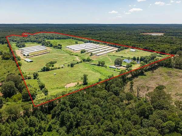 86.7 Acres of Improved Agricultural Land for Sale in Shelbyville, Texas