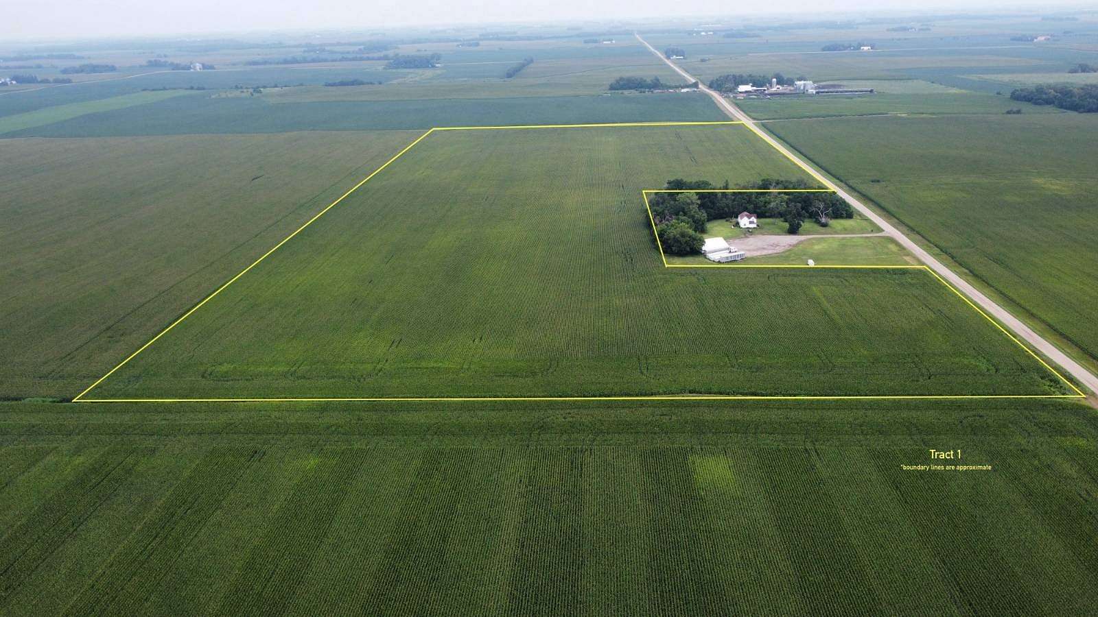 163 Acres of Agricultural Land for Auction in Bricelyn, Minnesota
