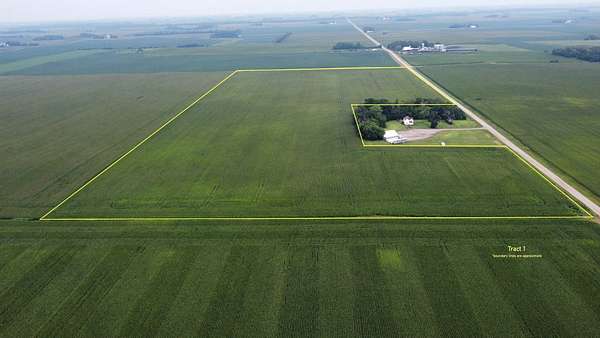 163 Acres of Agricultural Land for Auction in Bricelyn, Minnesota