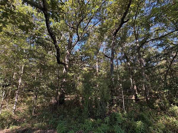 2 Acres of Residential Land for Sale in Thicket, Texas