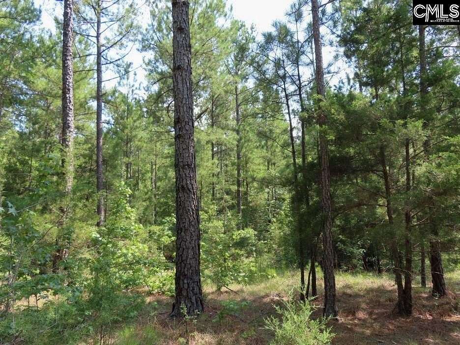 61 Acres of Recreational & Residential Land for Sale in Winnsboro, South Carolina
