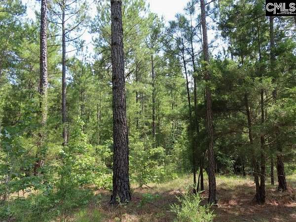 61 Acres of Recreational & Residential Land for Sale in Winnsboro, South Carolina