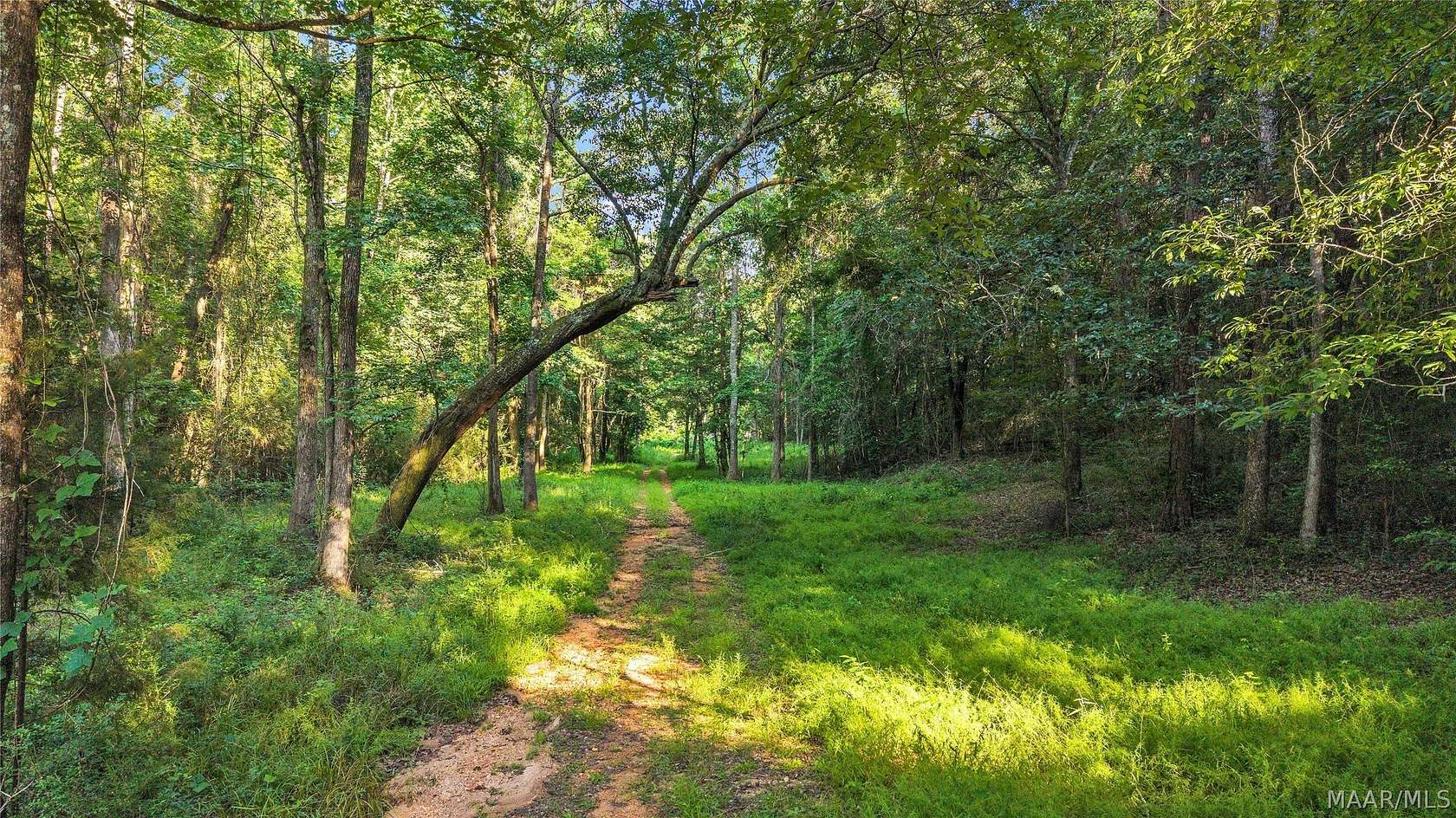 7.5 Acres of Residential Land for Sale in Tallassee, Alabama