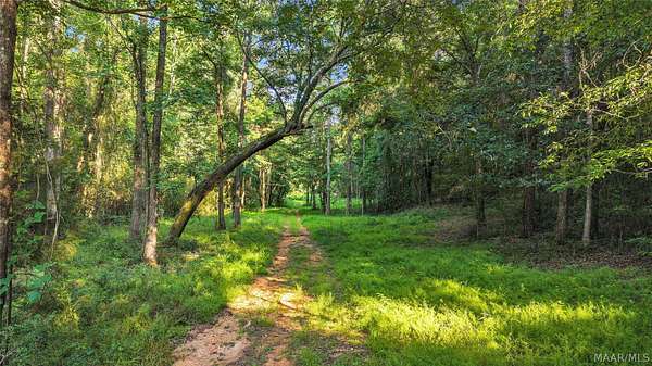 7.5 Acres of Residential Land for Sale in Tallassee, Alabama