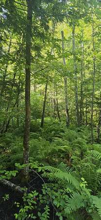 0.6 Acres of Residential Land for Sale in Otisfield Town, Maine