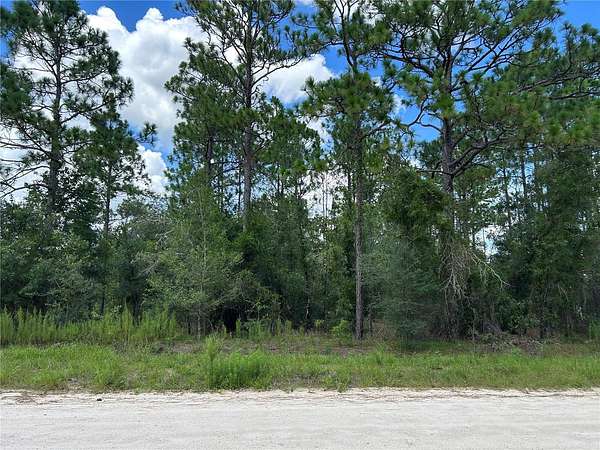 1.25 Acres of Residential Land for Sale in Morriston, Florida