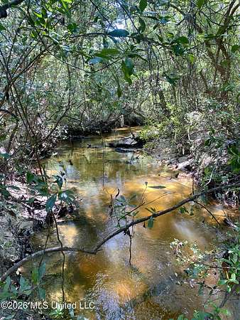 5.6 Acres of Residential Land for Sale in Wiggins, Mississippi
