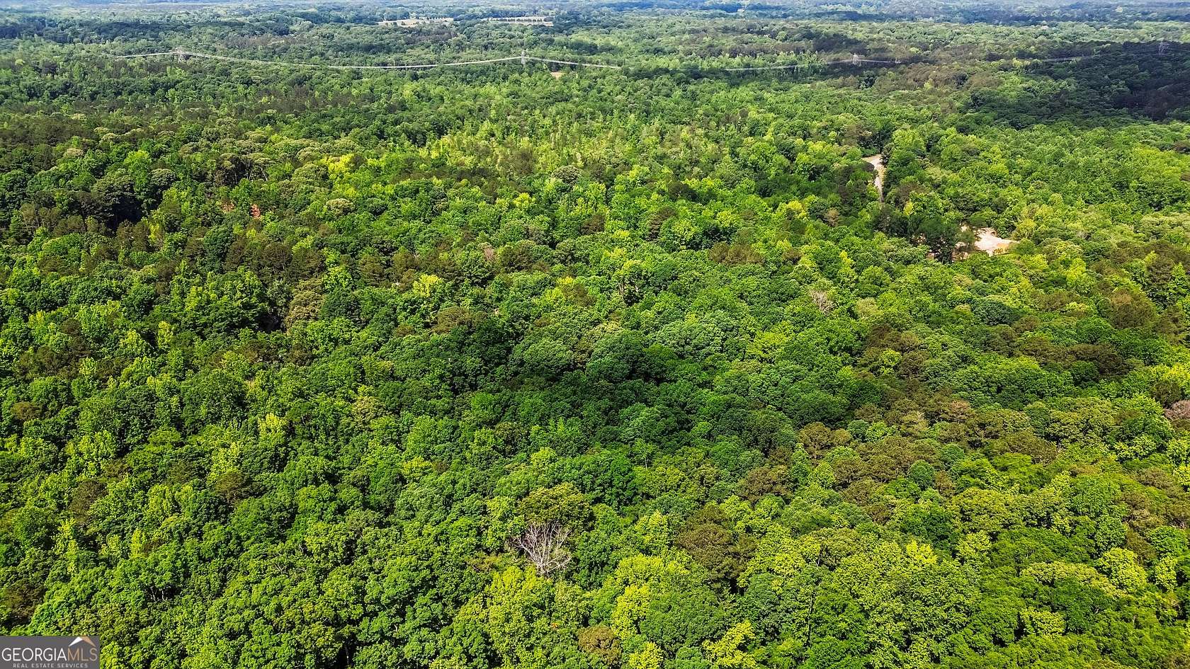 Residential Land for Sale in Locust Grove, Georgia