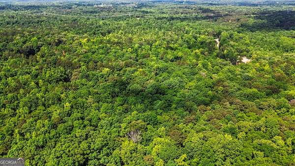Residential Land for Sale in Locust Grove, Georgia