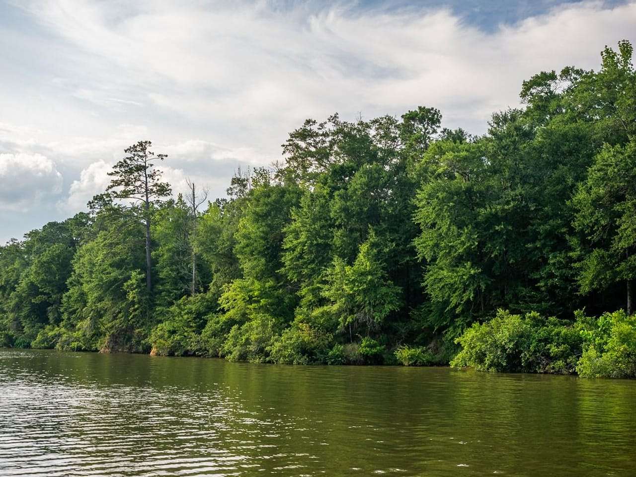 1 Acre of Residential Land for Sale in Columbus, Mississippi