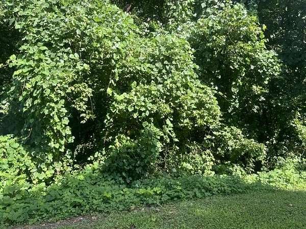 0.66 Acres of Residential Land for Sale in Soddy-Daisy, Tennessee