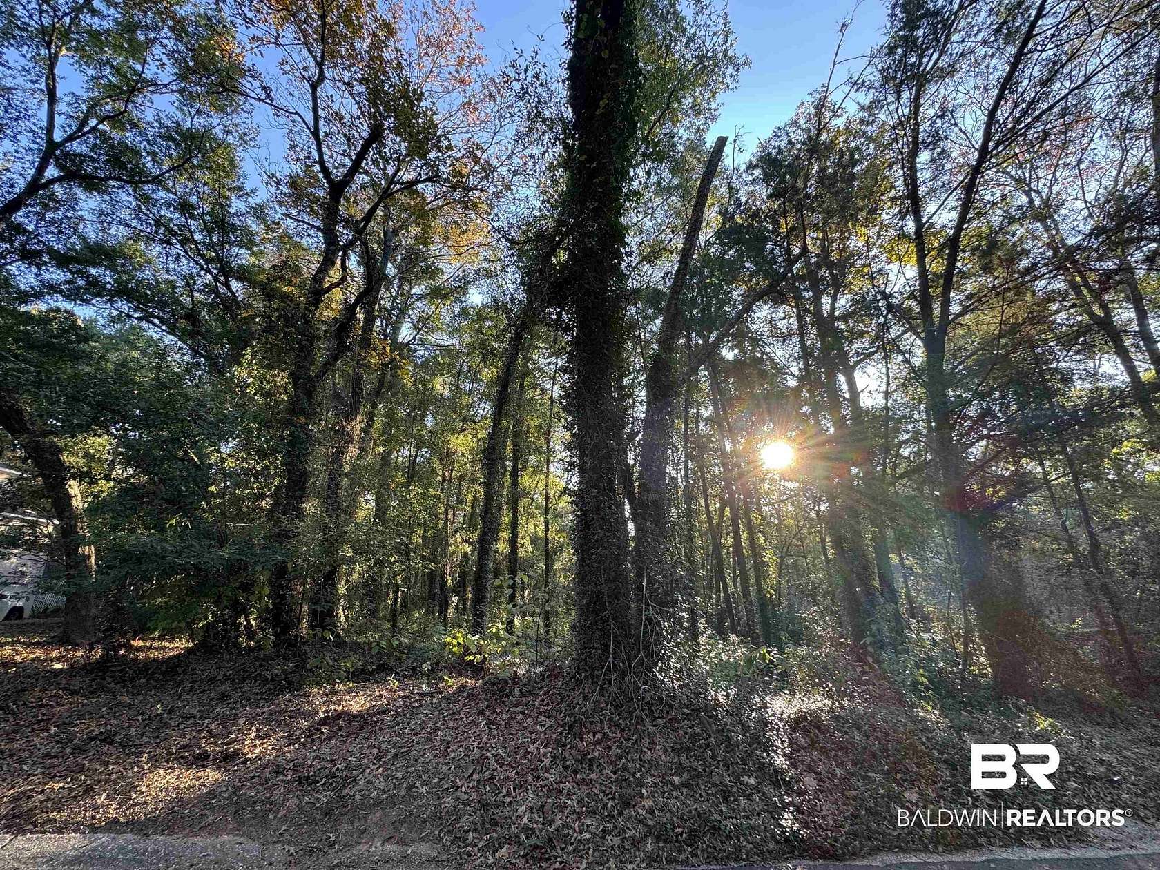 0.43 Acres of Residential Land for Sale in Fairhope, Alabama