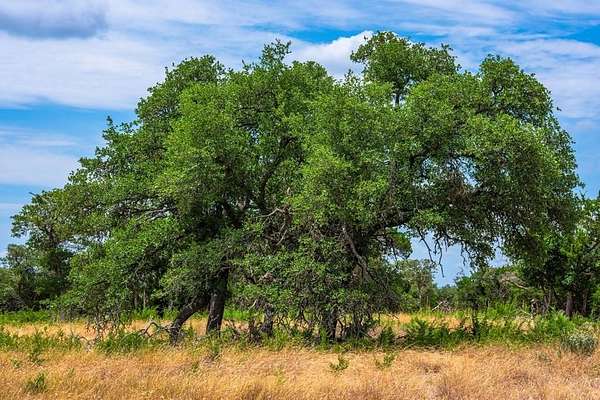 140 Acres of Recreational Land for Sale in Kerrville, Texas