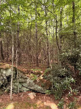 0.77 Acres of Residential Land for Sale in Sapphire, North Carolina
