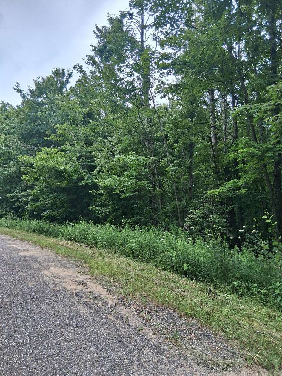 Land for Sale in Elmira, Michigan