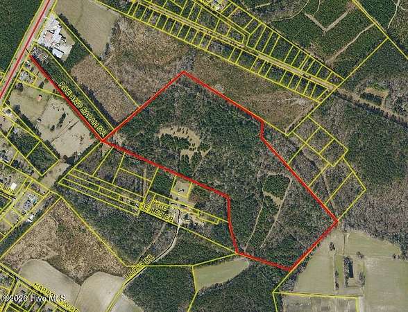 69.3 Acres of Recreational & Residential Land for Sale in Clarkton, North Carolina