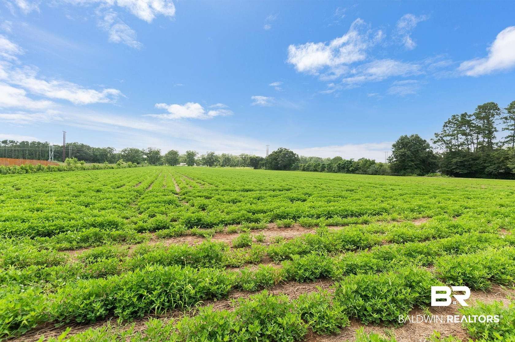 9.72 Acres of Residential Land for Sale in Silverhill, Alabama