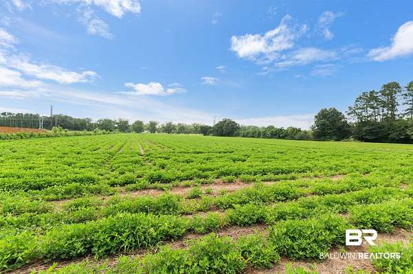 9.72 Acres of Residential Land for Sale in Silverhill, Alabama
