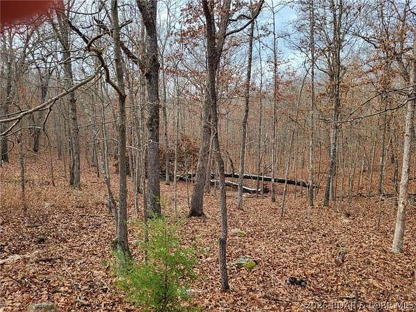 7 Acres of Residential Land for Sale in Edwards, Missouri