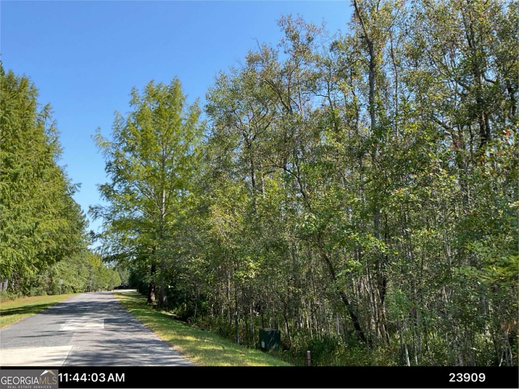 3.56 Acres of Residential Land for Sale in Waverly, Georgia
