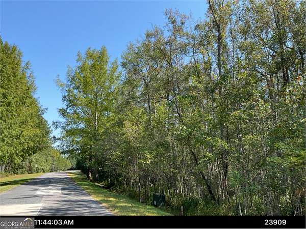 3.56 Acres of Residential Land for Sale in Waverly, Georgia