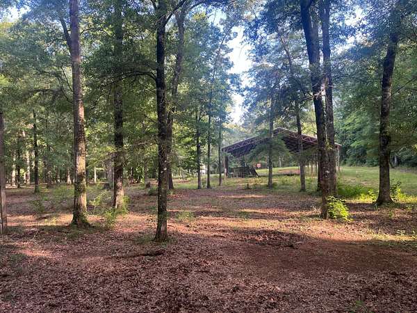 51 Acres of Recreational Land with Home for Sale in Nauvoo, Alabama